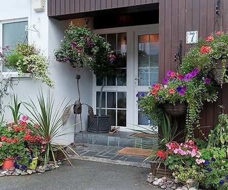 Guesthouse Topos St Austell Kültér fotó
